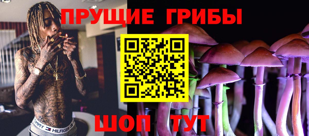 Галлюциногенные грибы GOLDEN TEACHER Саратов